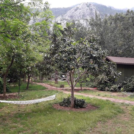 Kibala Hotel Çıralı Eksteriør billede
