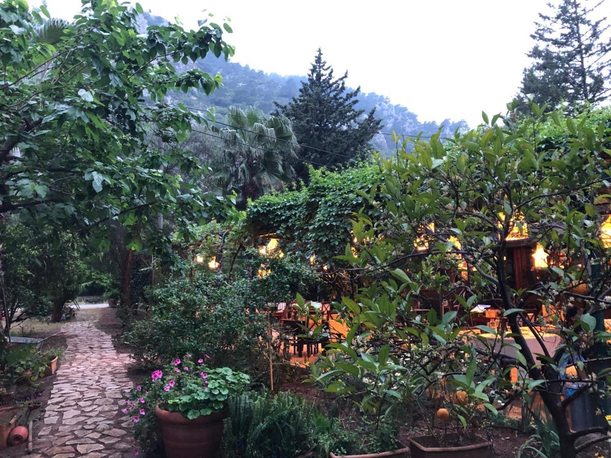 Kibala Hotel Çıralı Eksteriør billede