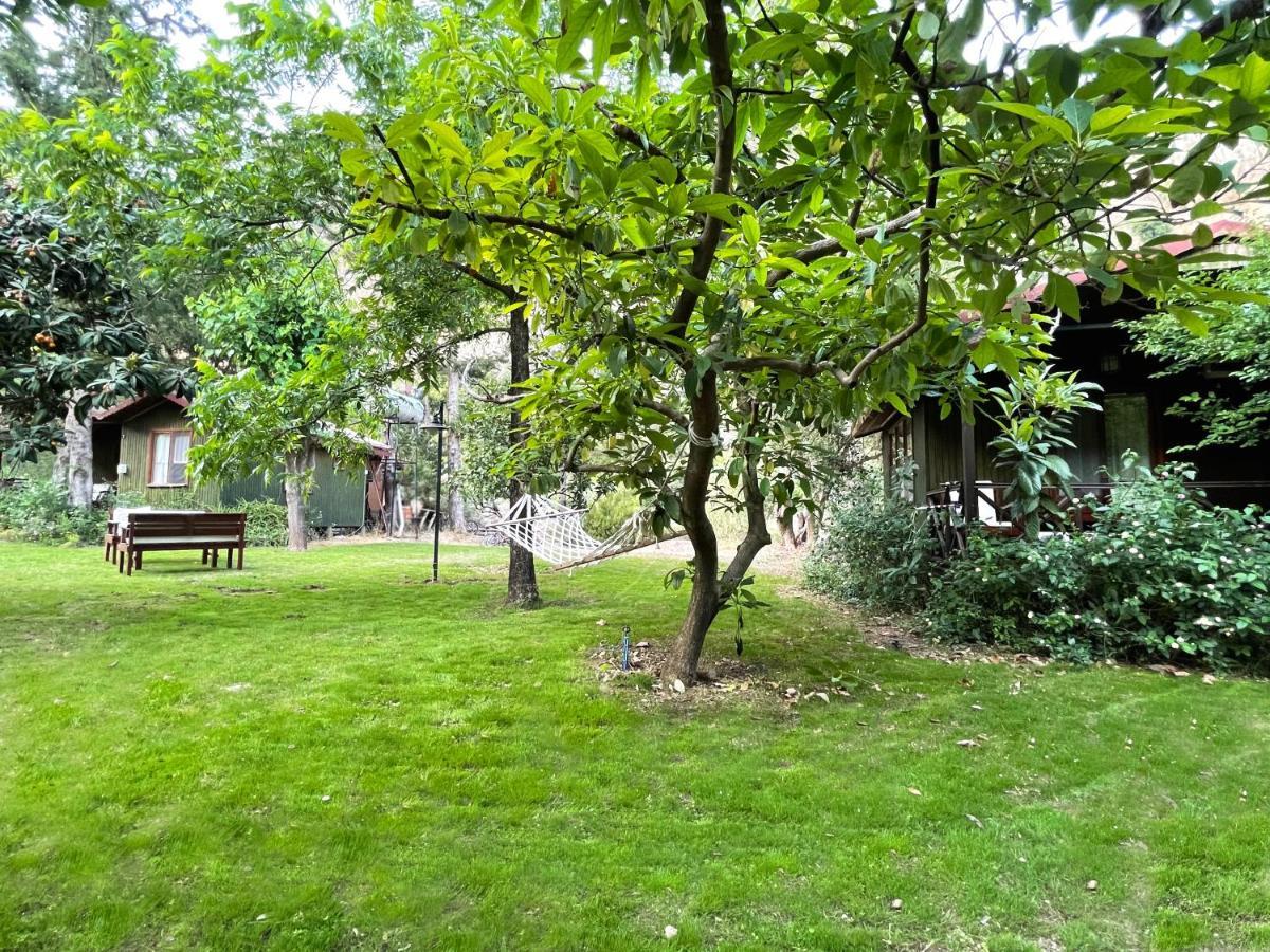 Kibala Hotel Çıralı Eksteriør billede
