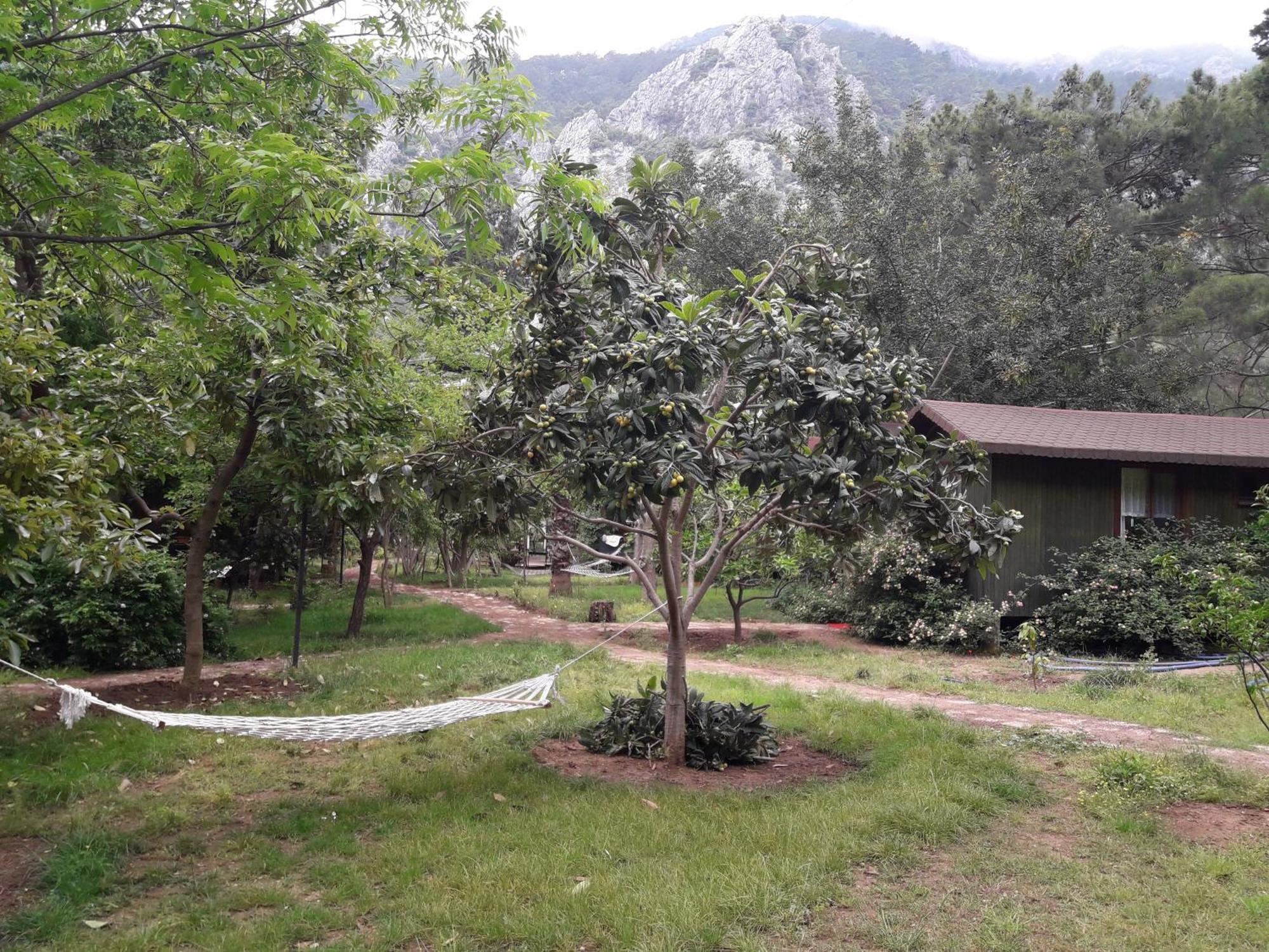 Kibala Hotel Çıralı Eksteriør billede