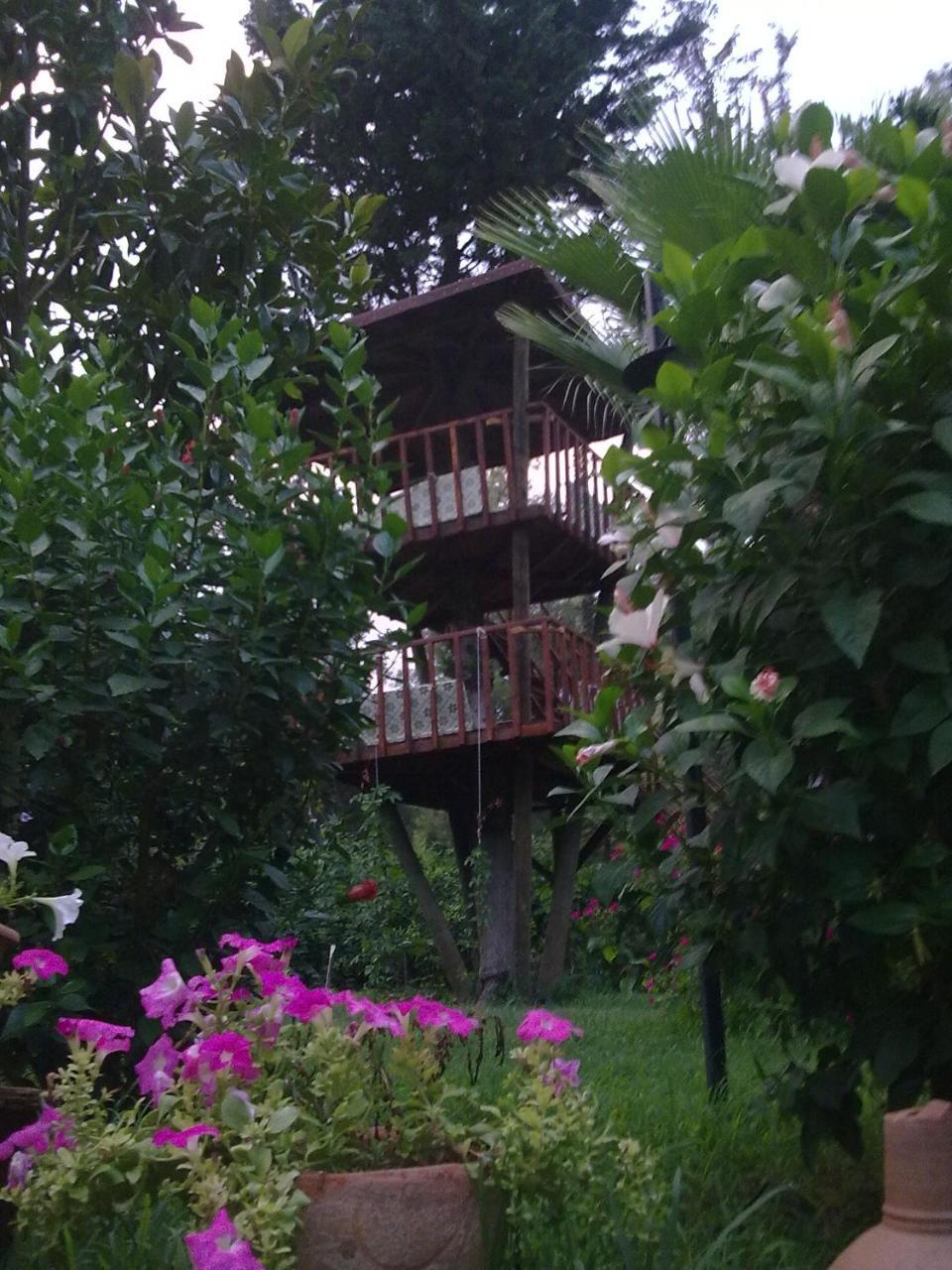 Kibala Hotel Çıralı Eksteriør billede
